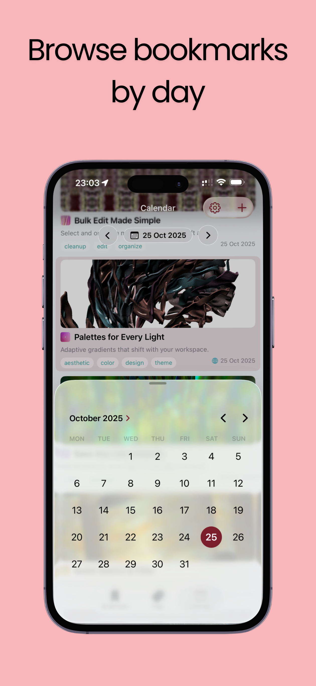 LinkShell iPhone interface 4